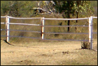 Mataranka Quarry - Is That Dust?
