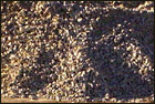 Mataranka Quarry - Kiln Feed Stockpile