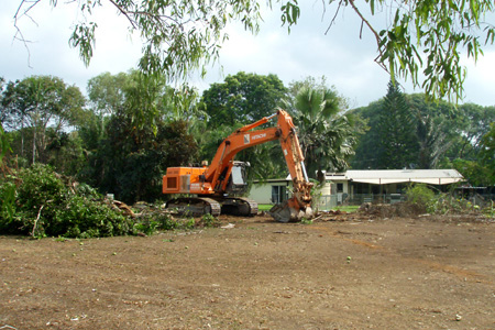 Not many trees left!