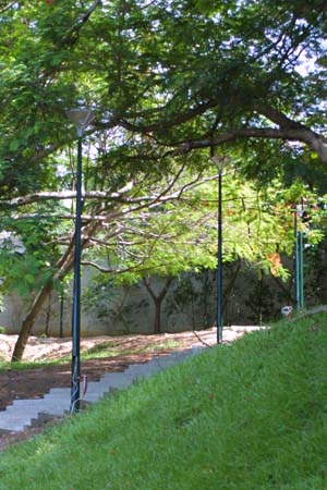 Staircase to Damoe Ra Park